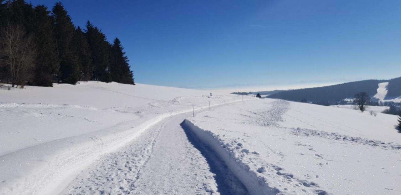 HerrischriedJules Traum Im Schwarzwaldアパートメント エクステリア 写真