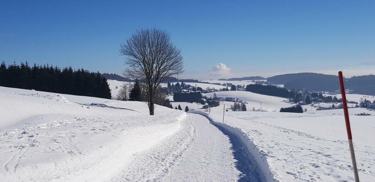 HerrischriedJules Traum Im Schwarzwaldアパートメント エクステリア 写真